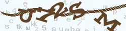 verify_code